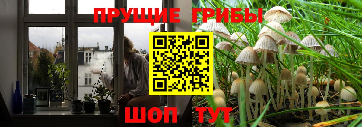 Псилоцибиновые грибы мухоморы  Вход с VPN  Кировск 